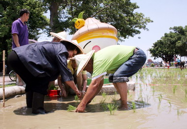 體驗物產館種稻陳菊：建立高雄首選品牌(圖)