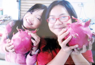 集集美食盡在南投觀光護照(圖)