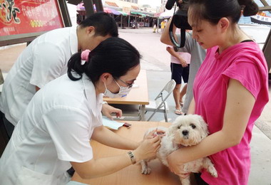梧棲漁港辦狂犬病疫苗預防注射工作(圖)