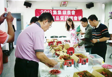集集農會糯米荔枝評鑑張順景獲第一(圖)