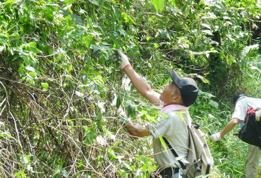 除「綠癌」總動員9月7日登場(圖)