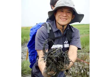 野鳥協會動員清除溼地互花米草(圖)