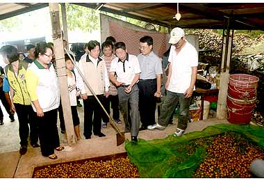 賴市長：東山龍眼乾製麵包要讓世界知道(圖)