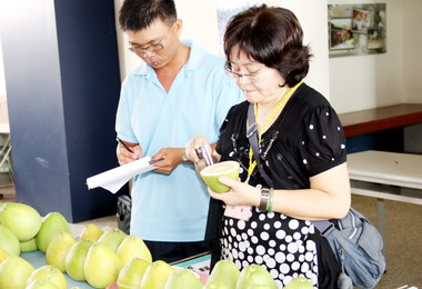 西湖文旦促銷活動熱鬧登場(圖)