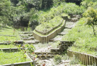 南投林管處辦疏伐木在生態工程上之應用(圖)