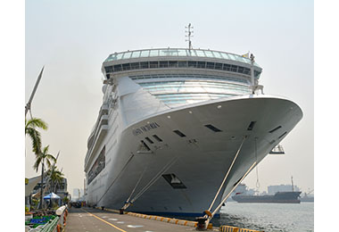 豪華郵輪「雙子星號」來訪黃色小鴨(圖)