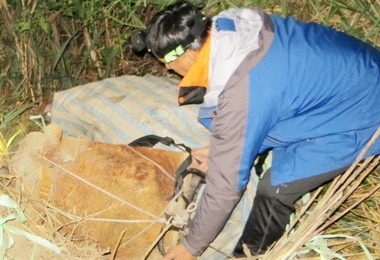 檢警與林務員聯手成立查緝平台抓山老鼠(圖)