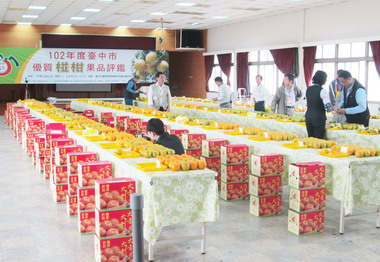 中市優質椪柑評鑑林慶炘獲冠(圖)