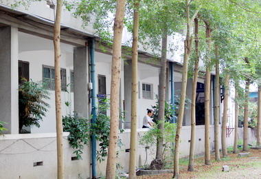 霧峰長青學苑擴建學員將在替代教室上課(圖)