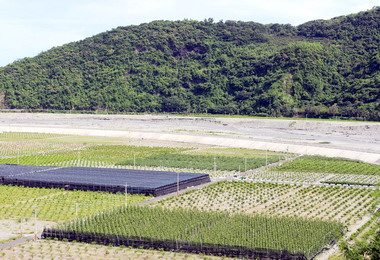 政府推回填政策解決農地無法復耕問題(圖)