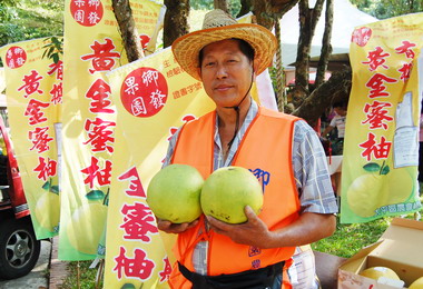 太平農會廖清發栽植有機黃金蜜柚有成(圖)