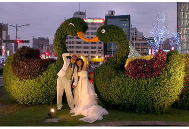 「情定高雄，愛您99」(圖)