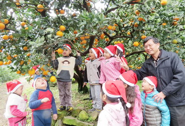 水里辦肚財丁文化活動(圖)