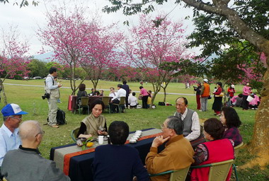 暨南大學春節推出櫻花茶道活動(圖)