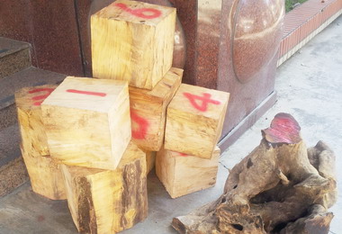 信義分局查獲山老鼠(圖)