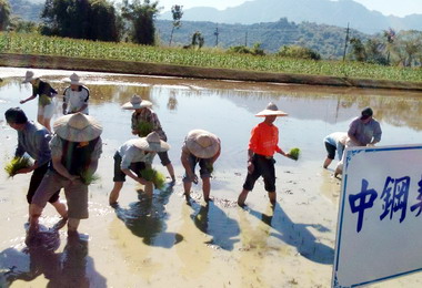 中鋼盡社會責任員工災區體驗插秧樂(圖)