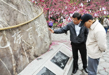葉匡時賞櫻兼視察之旅露出神情愉悅之態(圖)