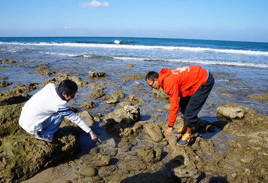 正值淡季墾丁夏都4.5折促銷價(圖)
