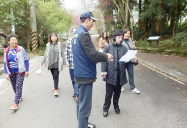 草坪頭櫻花季湧入眾多人潮(圖)
