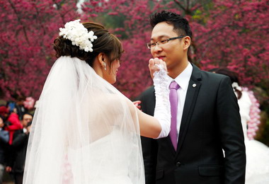 九族櫻花婚禮浪漫登場過情人節(圖)