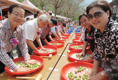 信義農會梅子料理競賽成績出爐(圖)