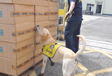 高雄關查獲未稅香菸市價逾2000萬(圖)