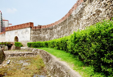 象柴山生態故事創作競賽開始徵稿(圖)