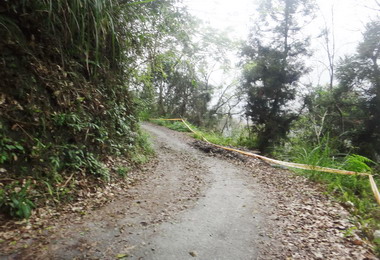 信義郡大林道進行沿線路面改善(圖)