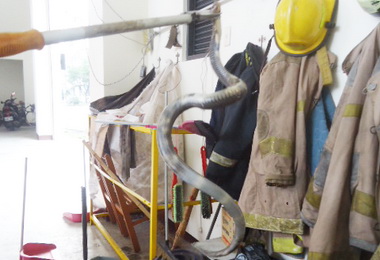 埔里消防分隊捕獲大眼鏡蛇(圖)