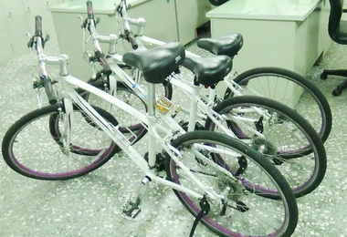 三少竊腳踏車又偷香油錢(圖)