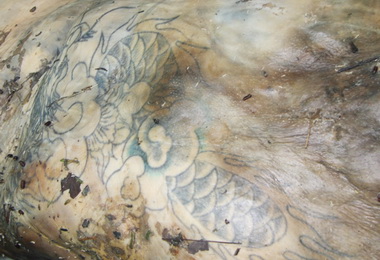 南投市貓羅溪畔發現無名屍胸口青龍刺青(圖)