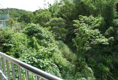 許明財視查東香里美之城90巷邊坡改善(圖)