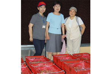 太平農會建置荔枝冷鏈處理場今啟用(圖)