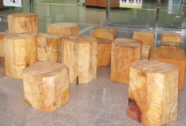 啟動獵鼠專案林警合作逮獲山老鼠(圖)