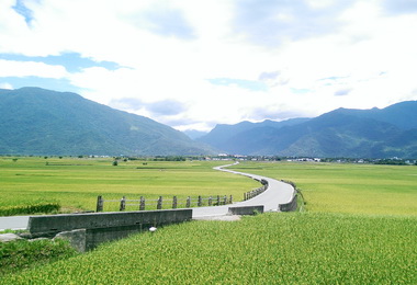 池上天堂路及伯朗大道7月起非農不得進入(圖)