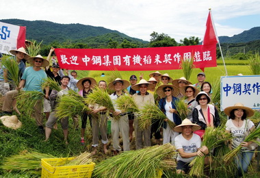 中鋼員工 風災重建區體驗稻米收割樂(圖)