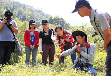 彩蝶山澗漫舞正是輕旅行好季節(圖)