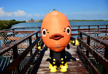 海味玩咖發送高雄海味地圖及高雄5寶扇(圖)