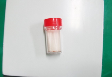 毒蟲見警想逃仍被甕中捉鱉(圖)