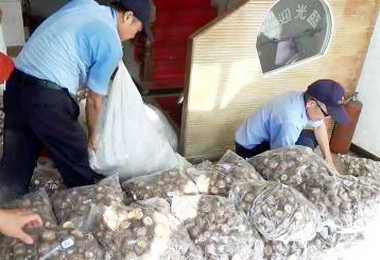 高雄關及海巡署聯合查獲走私香菇(圖)