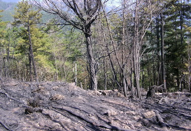 正值天乾物燥防範發生火警(圖)