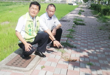 梧棲區大智路人行道下陷傾斜危及行人(圖)