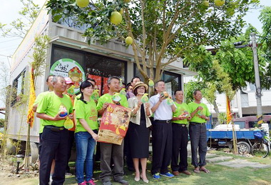 六房媽聖母神蹟護樹(圖)