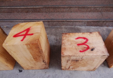 山老鼠趁空窗期潛入作案仍被逮獲(圖)