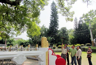 大樟樹生命岌岌可危嚴鴻邦實施搶救計畫(圖)