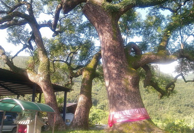 水里牛轀轆步道生態探索健行25日出發(圖)