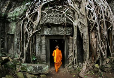 全新影片和精采講座11月登場(圖)