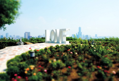 壽山情人觀景台整修完成浪漫玫瑰園迎客(圖)