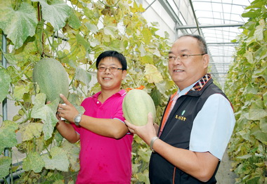 農友培育烏日新世紀哈密瓜成功(圖)