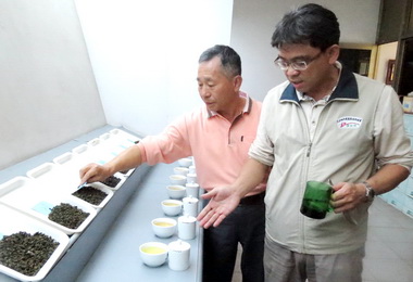水里冬季優良茶評鑑賽優勝茶農名單出爐(圖)